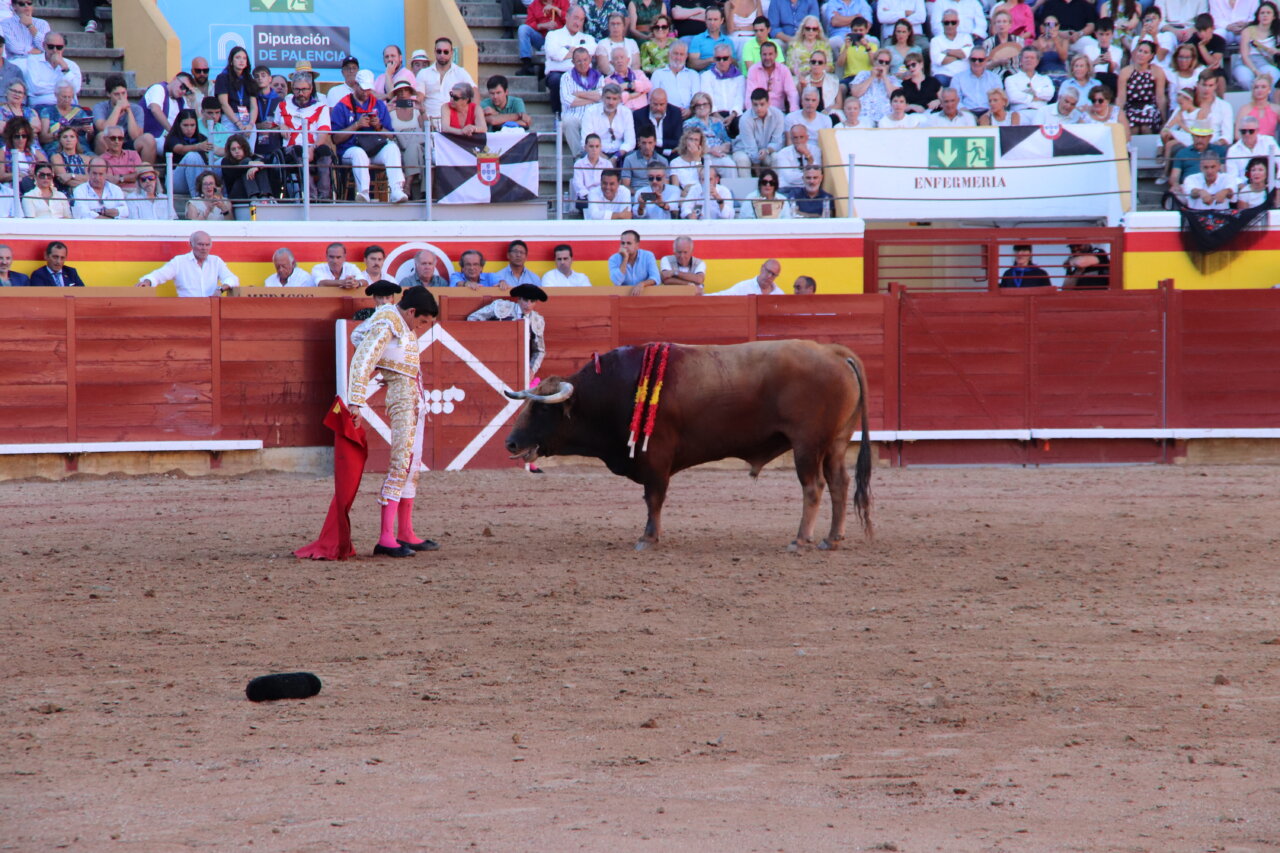 Roca Rey en la plaza de toros de Palencia durante una corrida