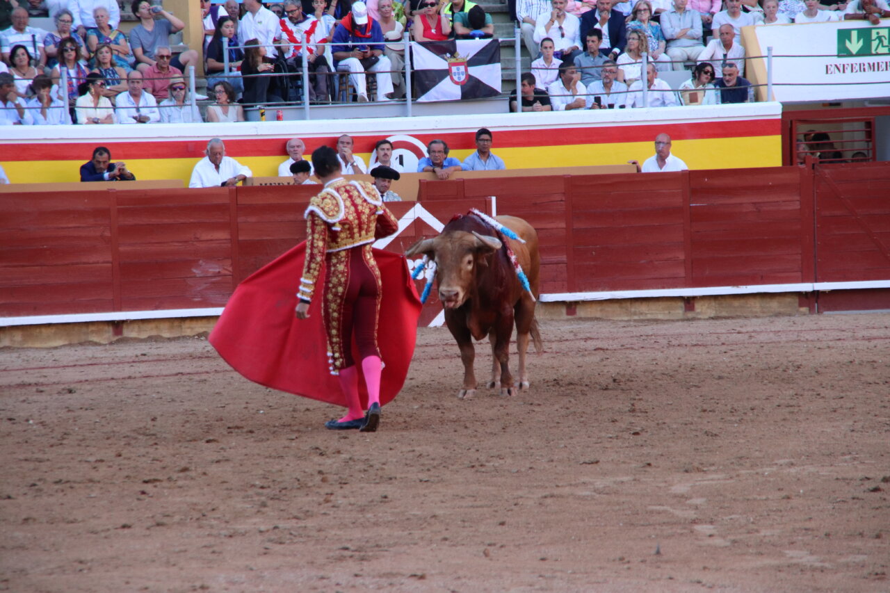 Torero con capa roja en la plaza de toros de Palencia