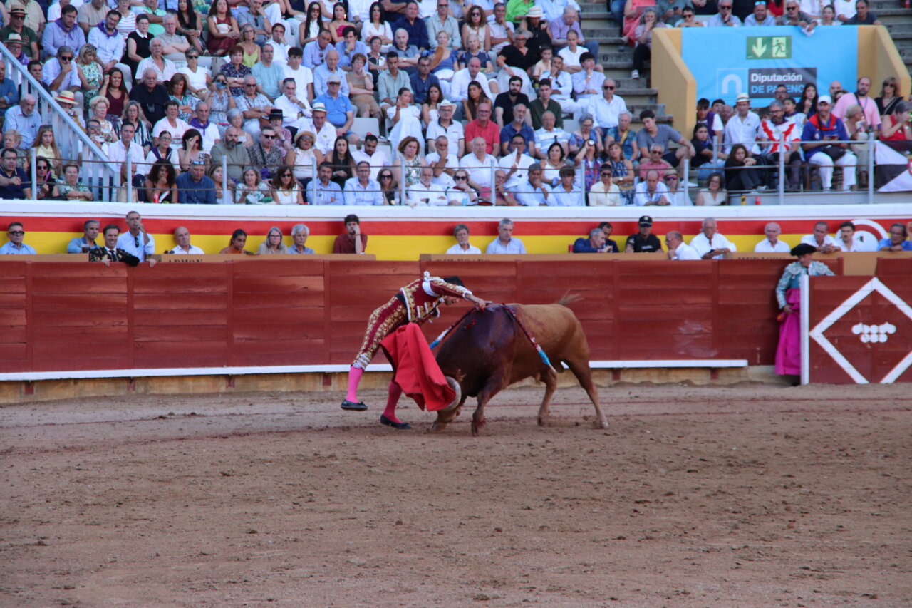 Roca Rey lidiando un toro en la plaza de toros de Palencia