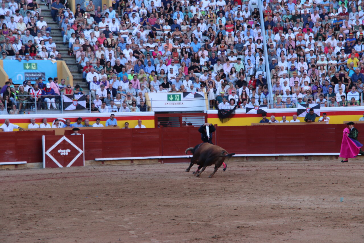 Roca Rey lidiando un toro en la plaza de toros de Palencia durante la feria