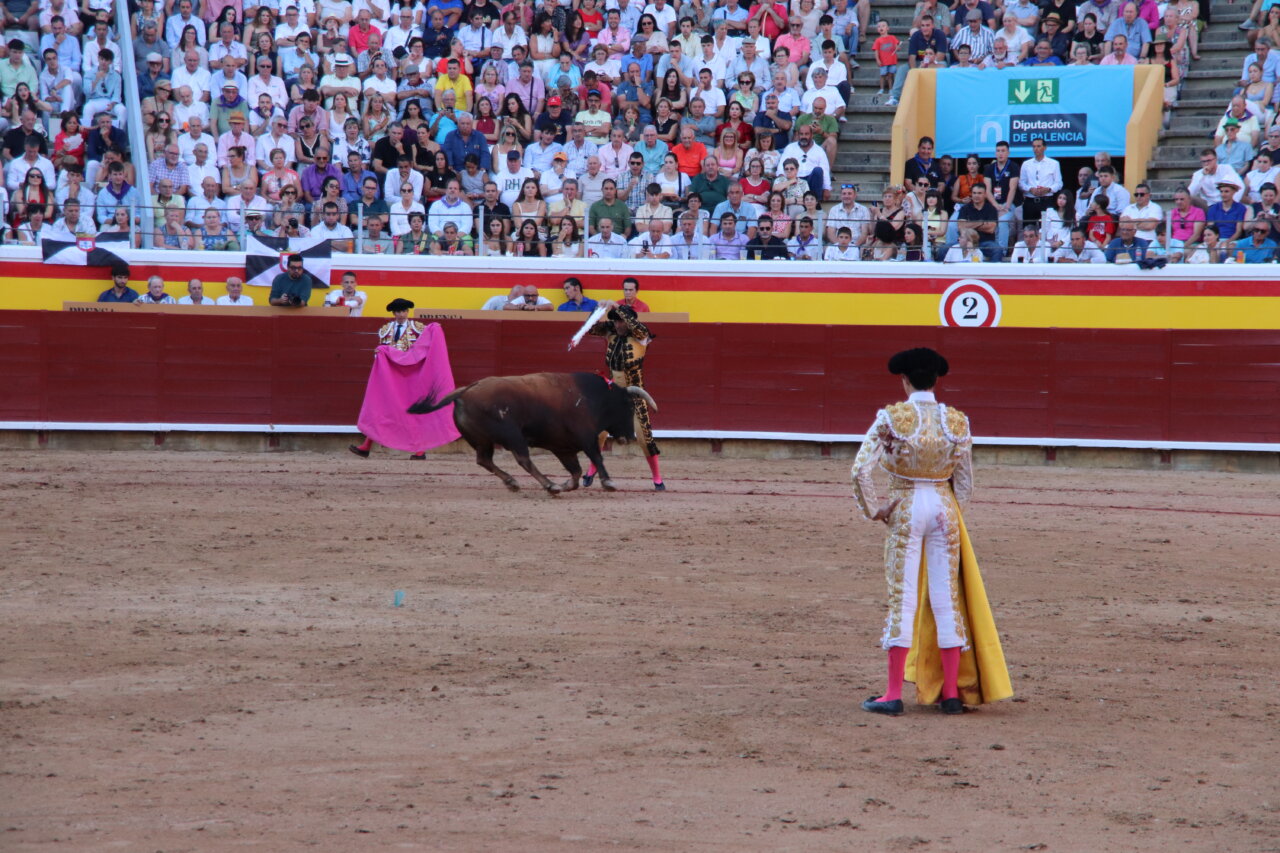 Torero en acción durante una corrida en la plaza de toros de Palencia