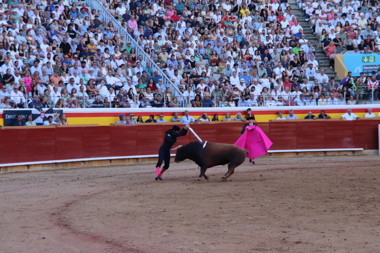 Torero en acción con un toro en la plaza de toros de Palencia