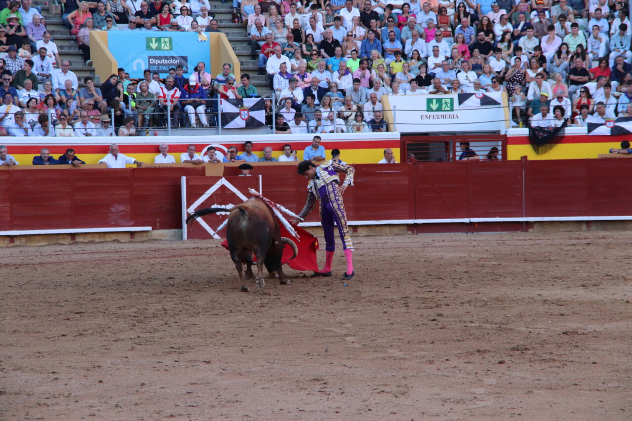 Roca Rey lidiando un toro en la plaza de toros de Palencia