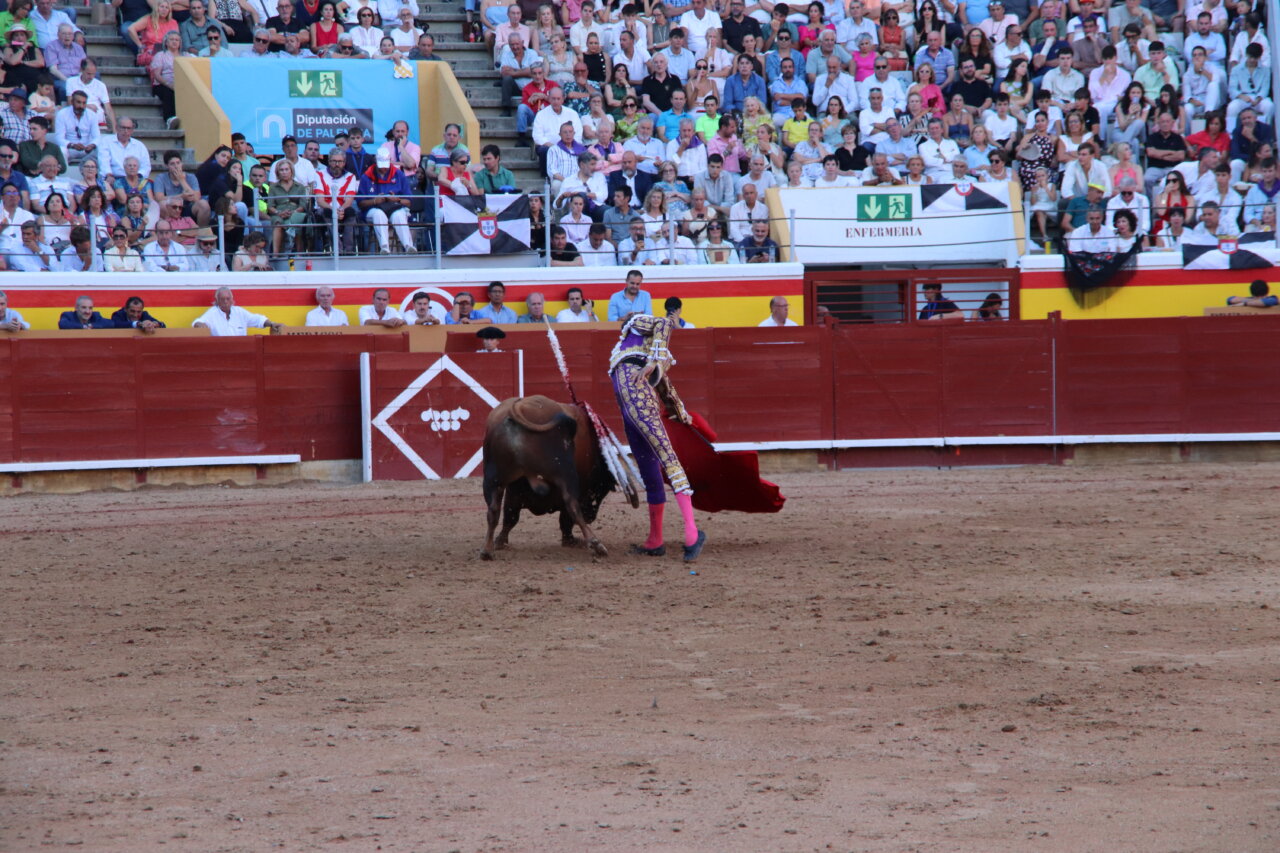 Torero realizando una faena en la plaza de toros de Palencia.