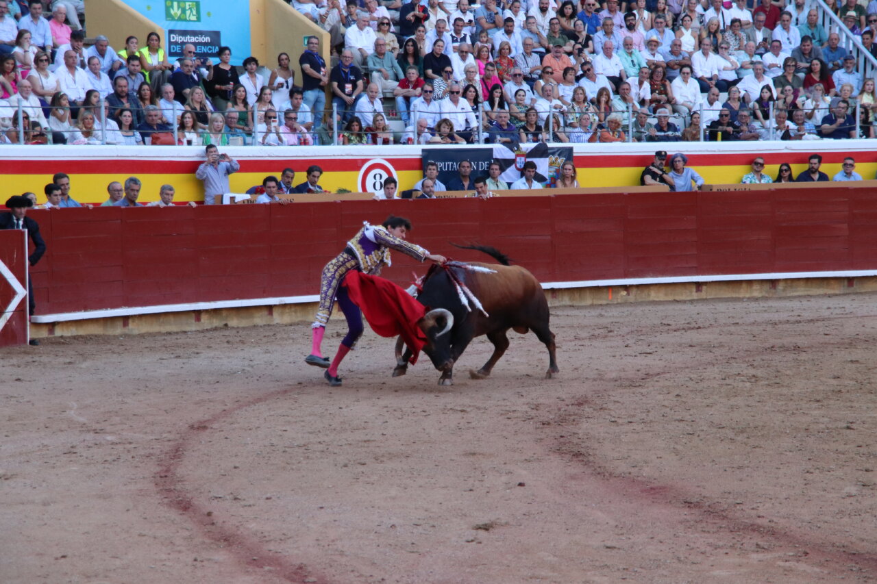 Torero realizando una faena con un toro en la plaza de toros de Palencia.