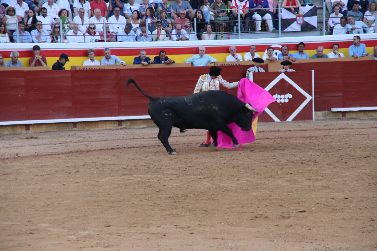 Un torero realizando un pase con un toro en la plaza de toros de Palencia.