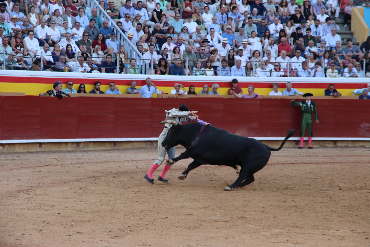 Roca Rey lidiando un toro en la plaza de toros de Palencia