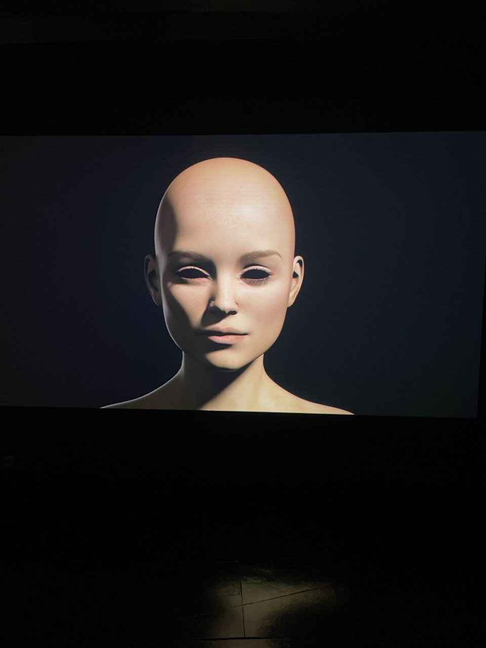 Retrato digital de una figura humanoide sin cabello en exposición artística