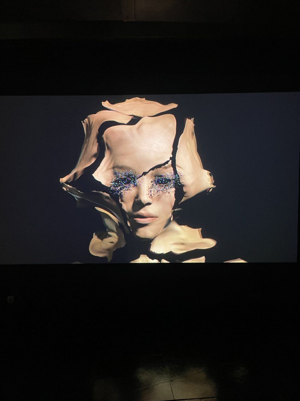 Obra de Marina Núñez en la exposición Terra ignota en el museo de Palencia.