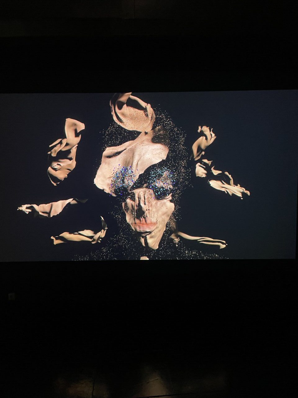 Video de la obra Sin piel de Marina Núñez en el museo de Palencia