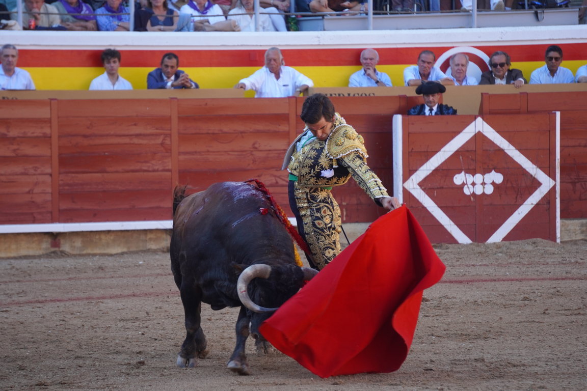 Morante de la Puebla realizando una faena con un toro en la plaza de Palencia