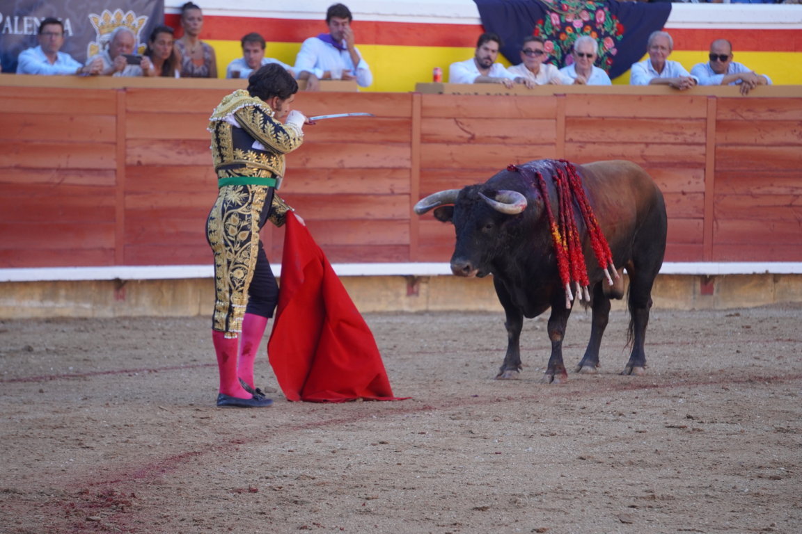 Torero en el ruedo con un toro durante una corrida en Palencia