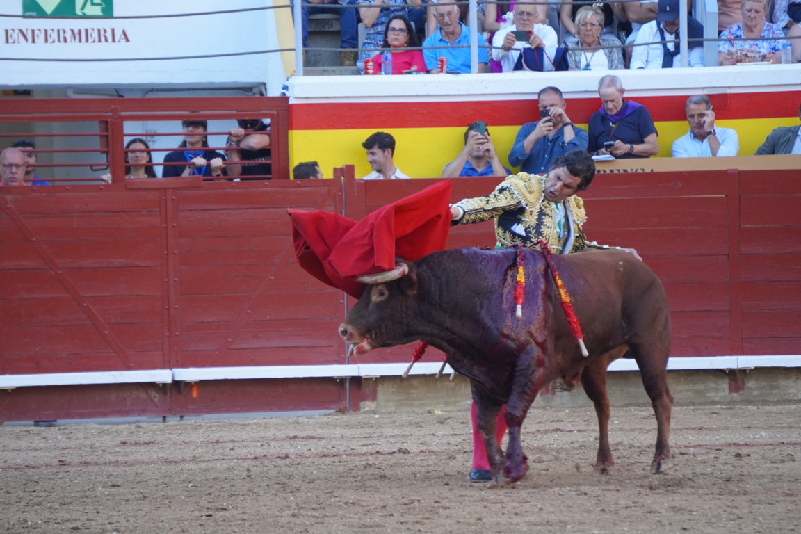 Morante de la Puebla lidiando un toro en la plaza de toros de Palencia