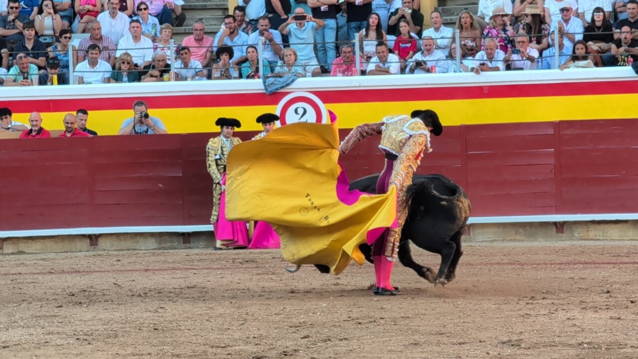 Matador realizando una faena con un toro en la plaza de toros