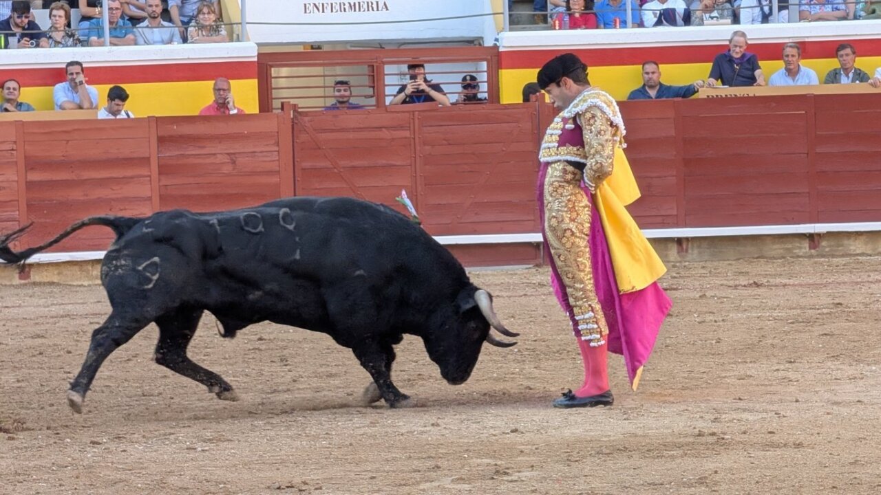 Torero en la plaza de toros con un toro negro en la arena