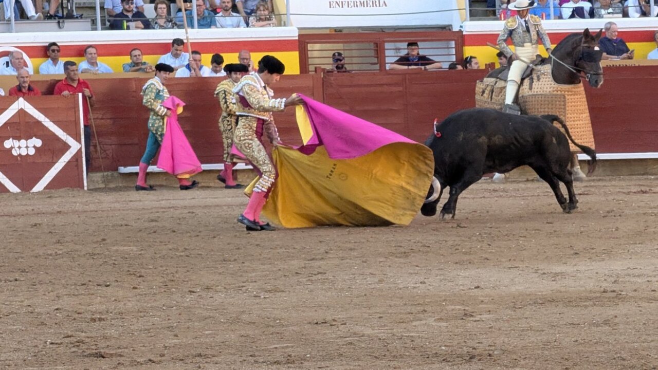 Torero realizando una faena con un toro en la plaza de toros.