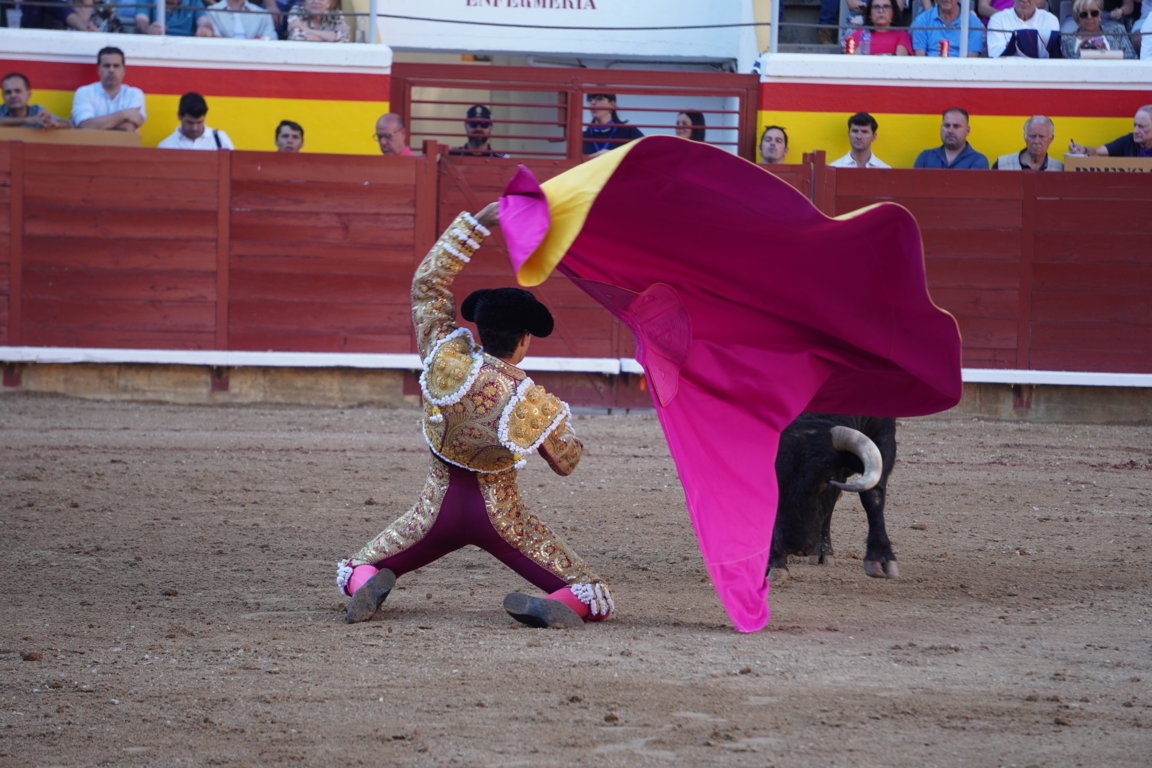 Matador realizando una faena con un toro en la plaza de toros.