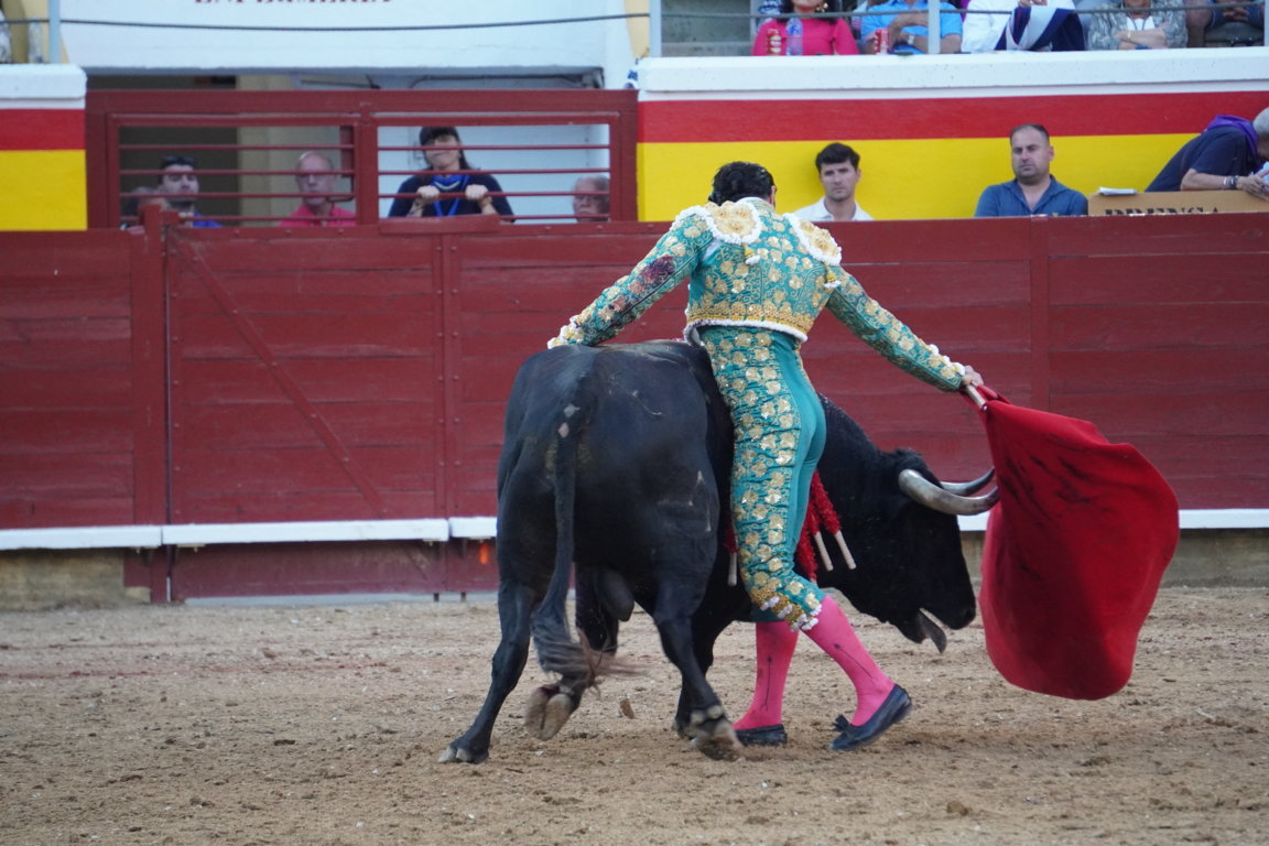 Torero realizando una faena con un toro en la plaza de toros.