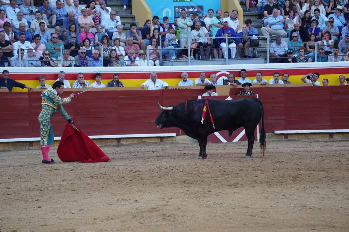 Torero en acción con un toro en la plaza de toros de Palencia