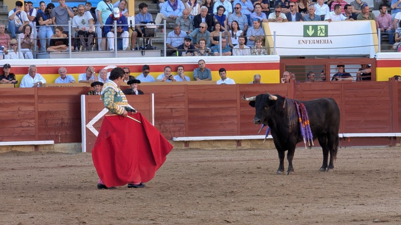 Torero en la plaza de toros con un toro en el ruedo