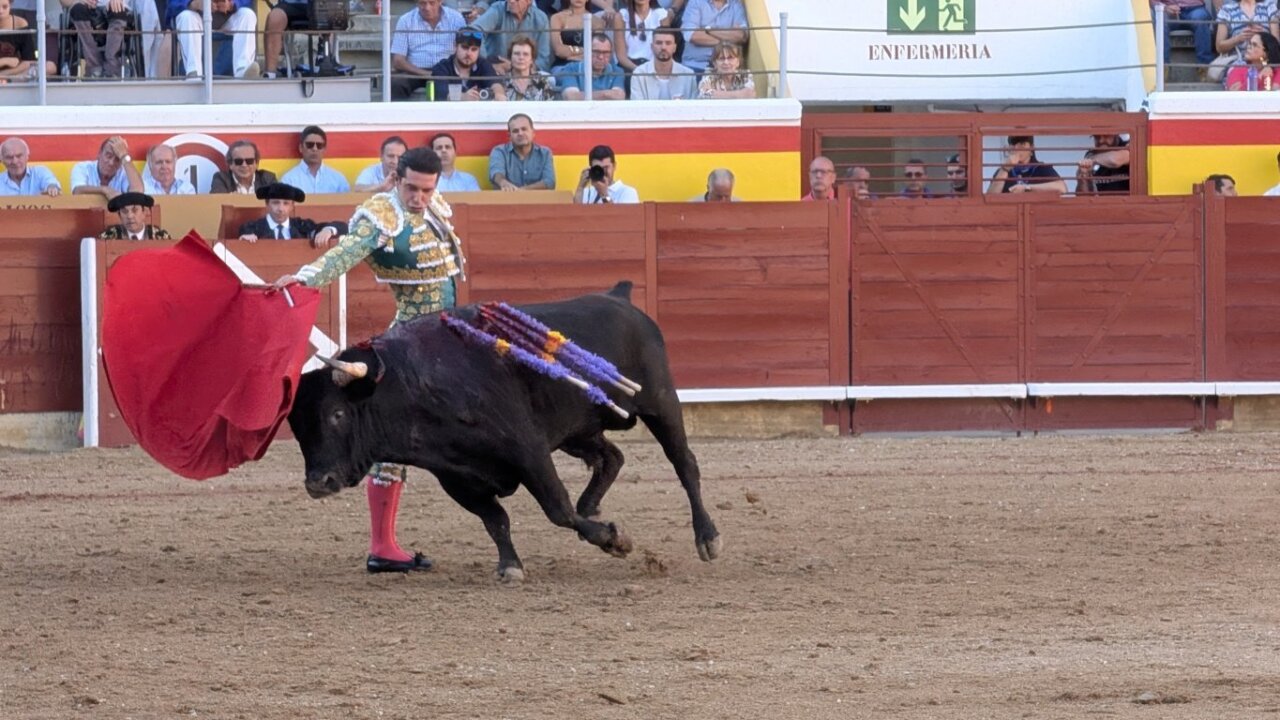 Torero realizando una faena con un toro en la plaza de toros