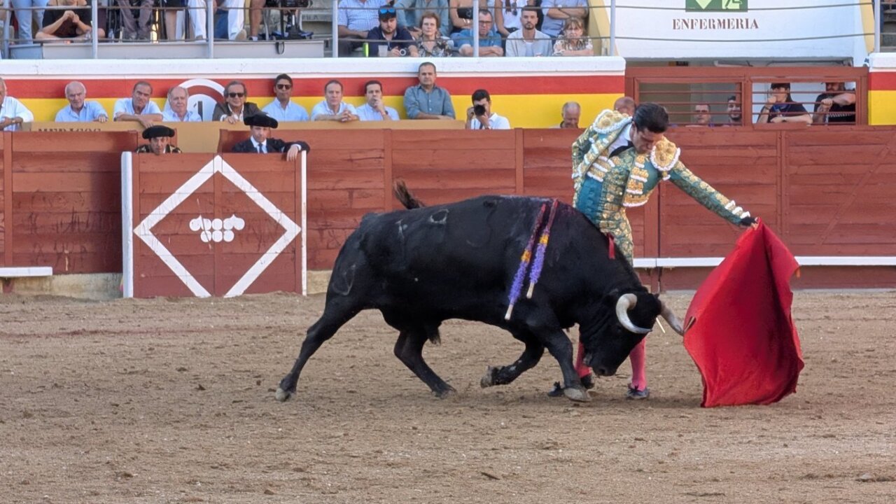 Torero realizando una faena con un toro en la plaza de toros