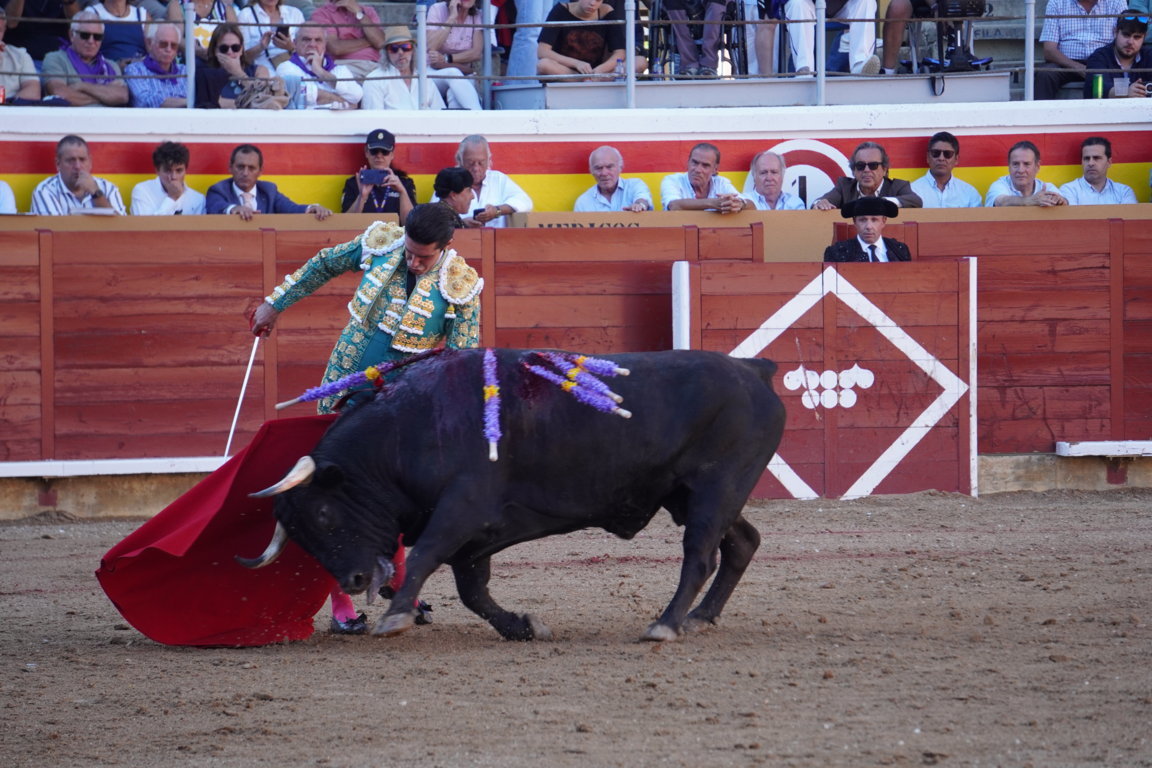 Torero realizando una faena con un toro en la plaza de toros