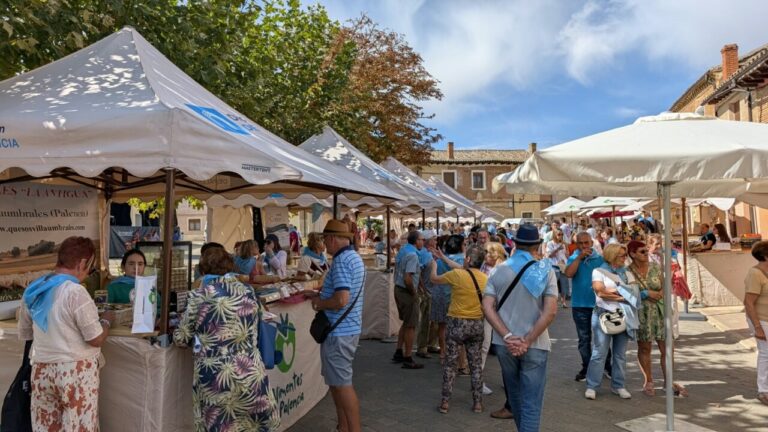 Celebración del Día de la Provincia en Fuentes de Nava con gente en un mercado