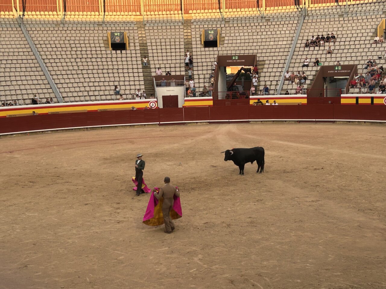 Novilleros en la plaza de toros durante una clase práctica con un novillo.
