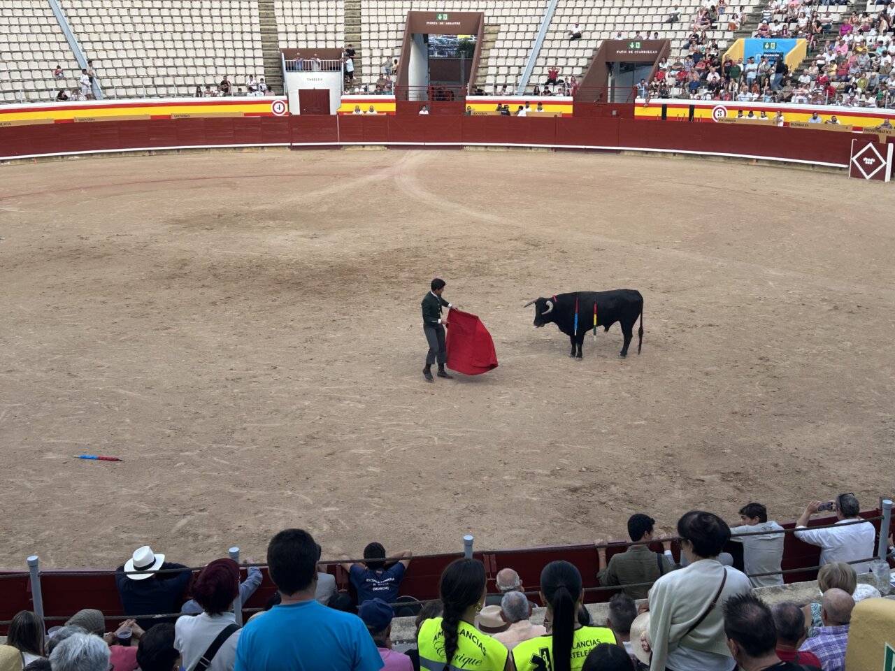 Novillero en clase práctica con un eral en la plaza de toros