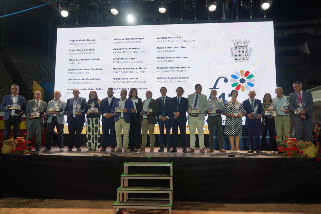Gala del Día de la Provincia con alcaldes homenajeados en el escenario.