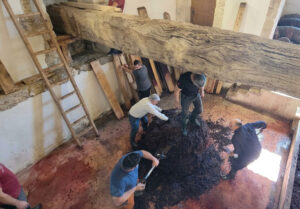 Personas pisando uvas en el Día de Lagares en Baltanás