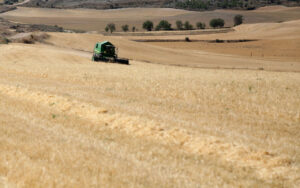 Tractor trabajando en un campo de cereal en Palencia