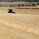 Tractor trabajando en un campo de cereal en Palencia
