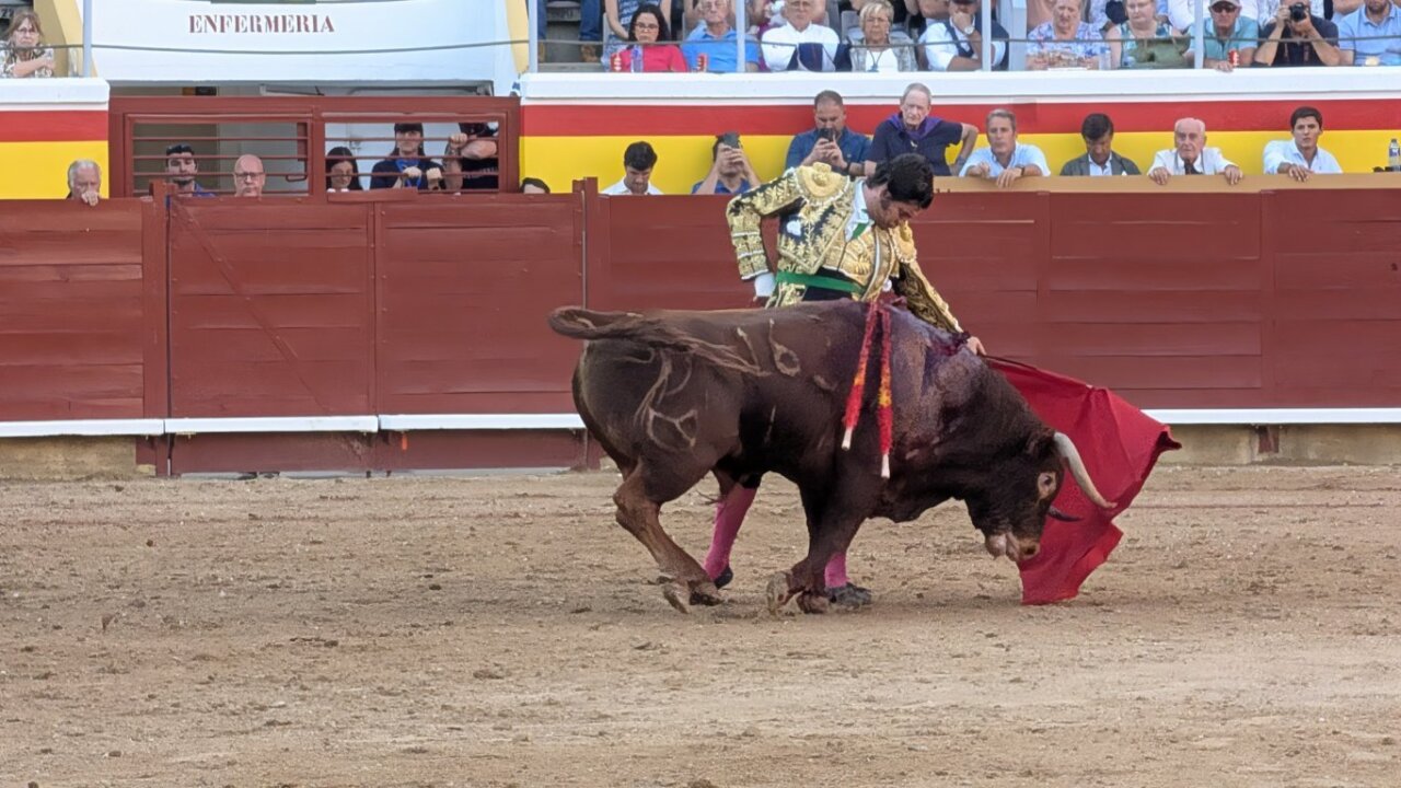 Morante de la Puebla lidiando un toro en la plaza de Palencia