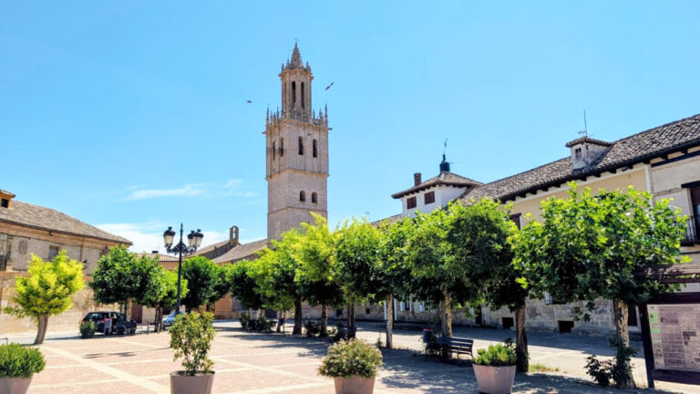 Plaza de Fuentes de Nava con árboles y torre de iglesia