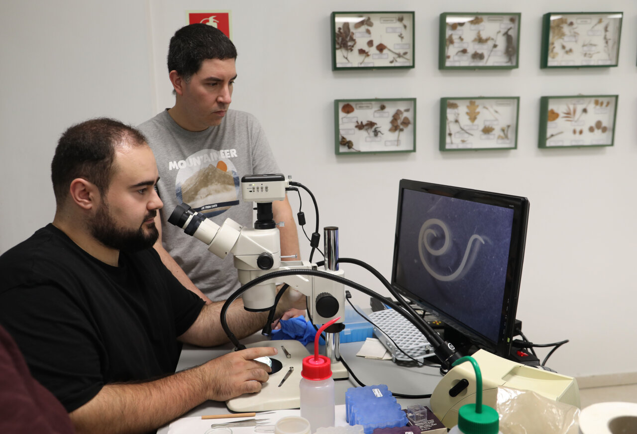 Investigadores observando muestras bajo un microscopio en un laboratorio