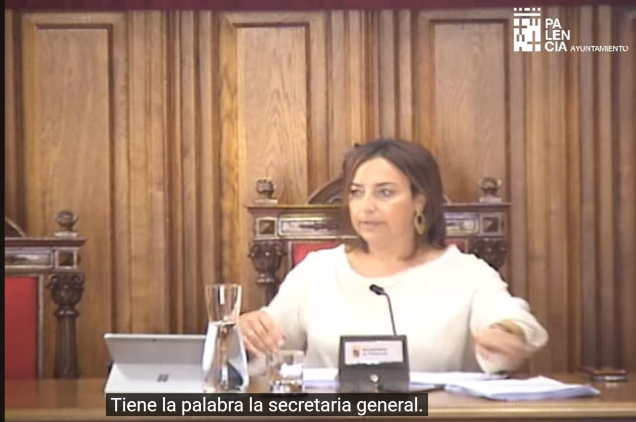 María Rosa de la Peña en el Pleno del Ayuntamiento de Palencia