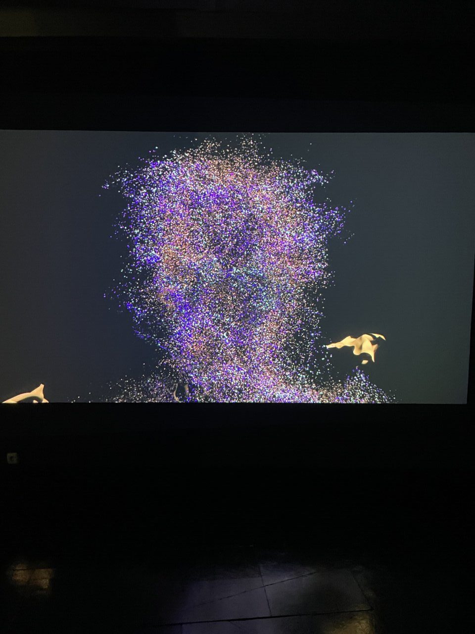 Obra visual de Marina Núñez en el museo arqueológico de Palencia