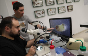 Investigadores observando muestras bajo un microscopio en laboratorio