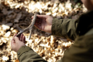 Primer plano de un ranger sosteniendo un cuerno en el bosque