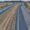 Vista de la autovía A-67 entre Santillana de Campos y Villaprovedo