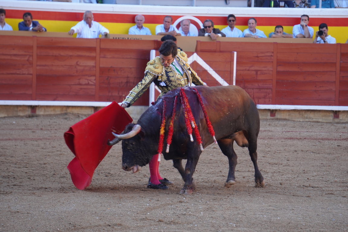 Torero realizando una faena con un toro en la plaza de toros.
