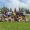 Jugadoras del Palencia Fútbol Femenino celebrando su victoria en el campo.