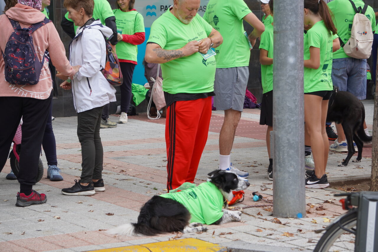 Participantes en la carrera contra el cáncer visten camisetas verdes en Palencia.