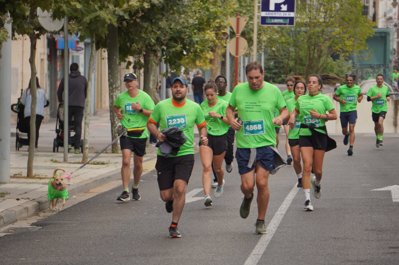 Participantes corriendo en la Carrera contra el Cáncer en Palencia