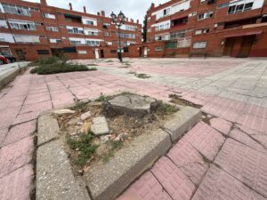 Alcorque vacío y tocones en una plaza de Palencia