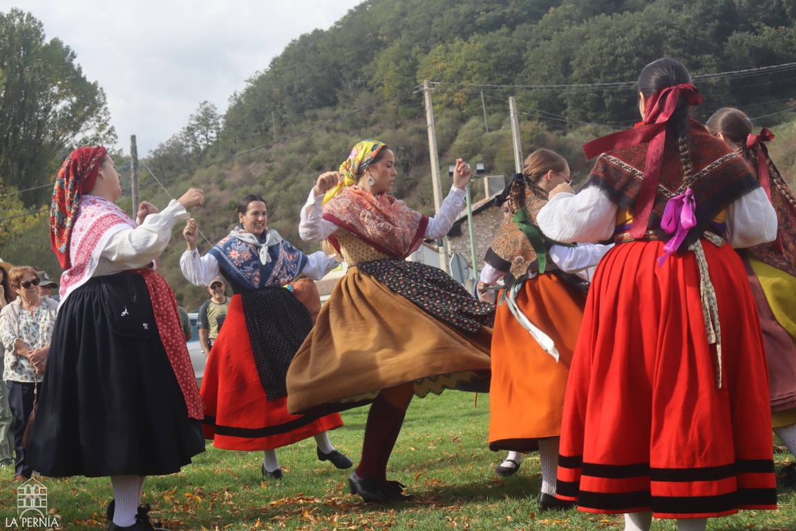 Mujeres con trajes tradicionales realizan un baile en un espacio exterior rodeado de vegetación.