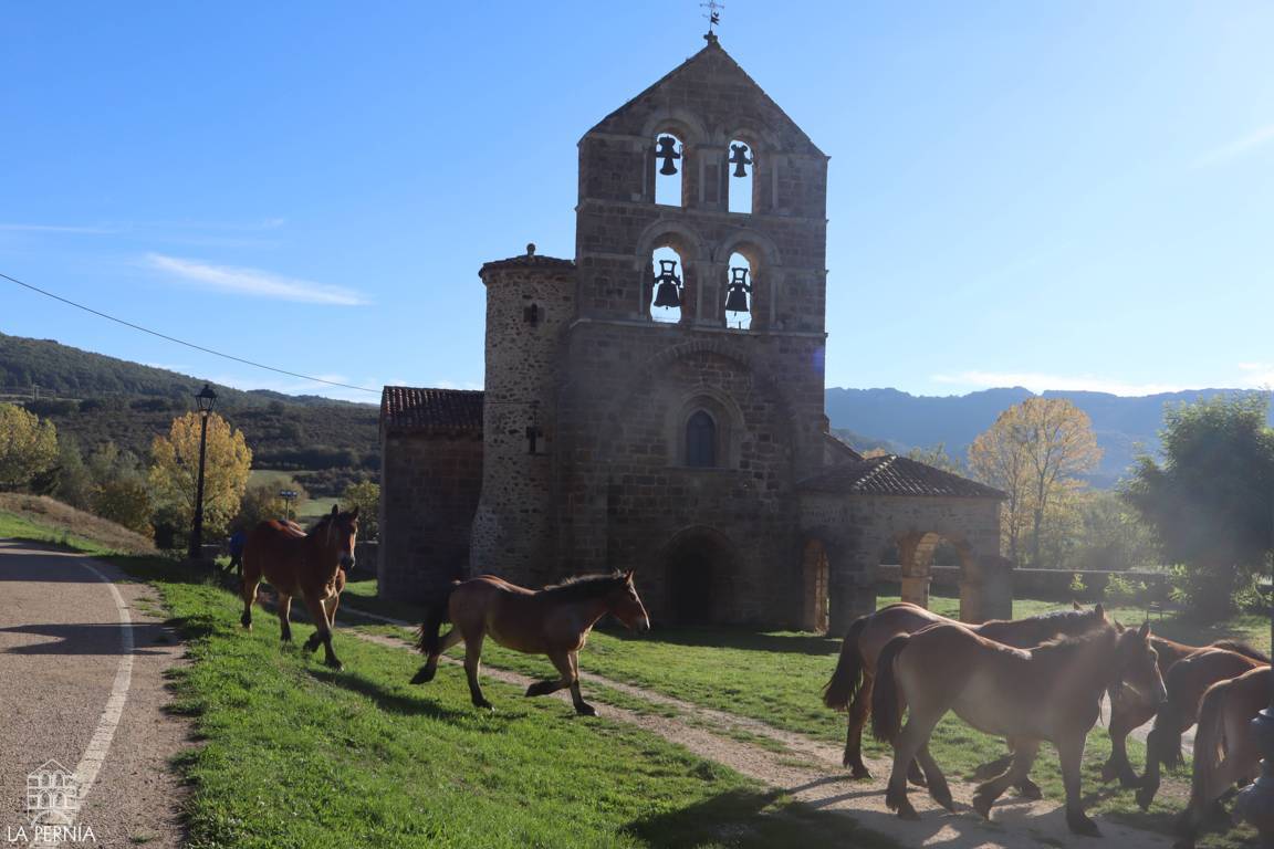 Varios caballos caminan frente a una iglesia de piedra en La Pernía