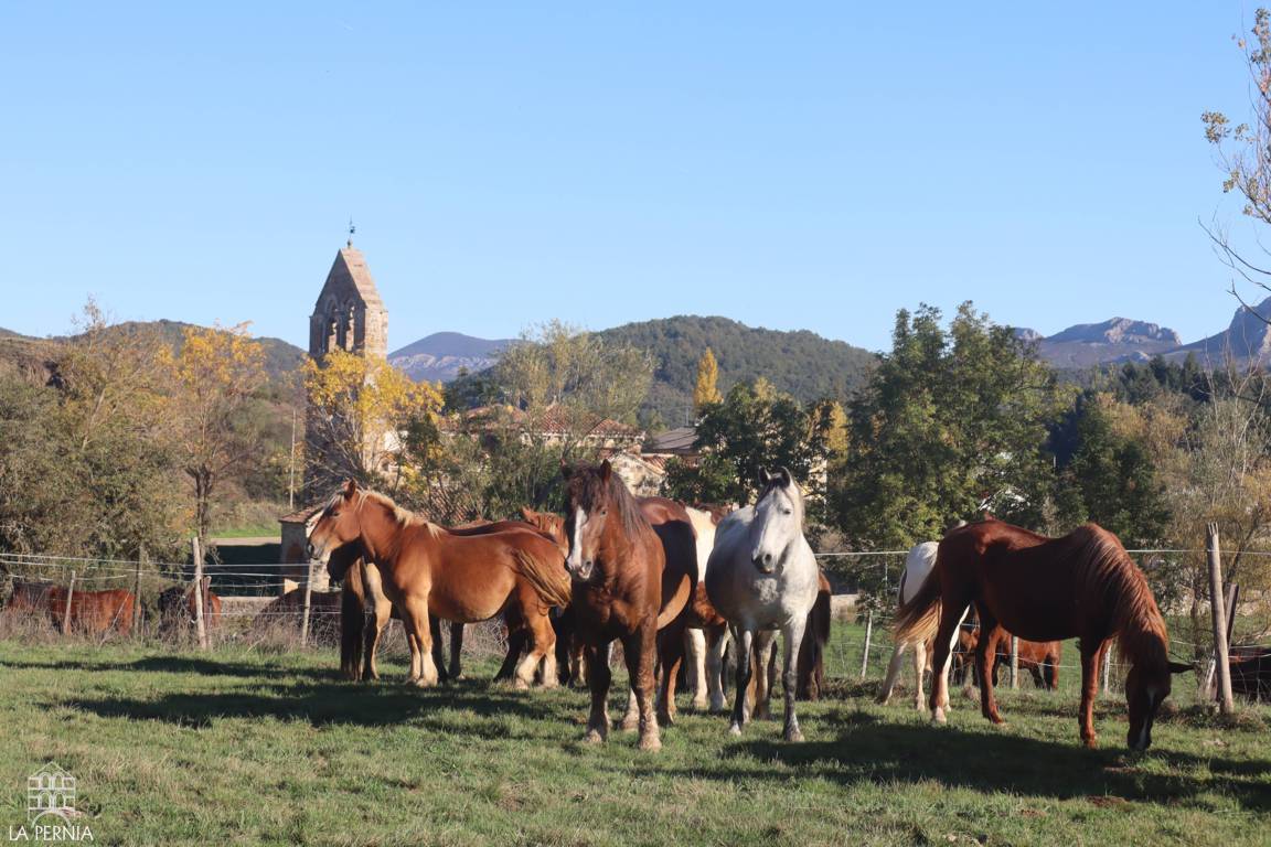 Varios caballos pastan y permanecen en un prado cercado junto a una torre y montañas.